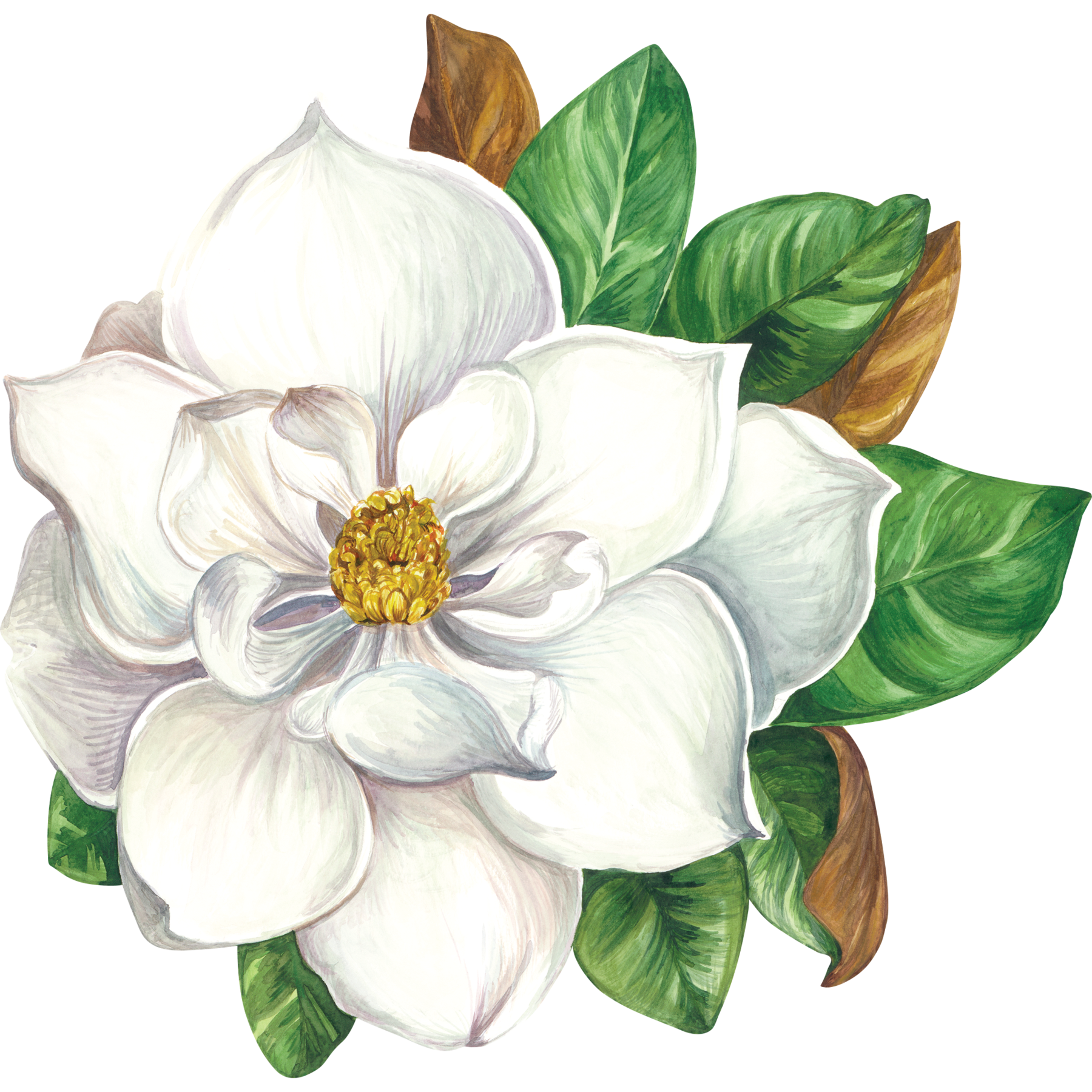 Placemat, Die-Cut Magnolia