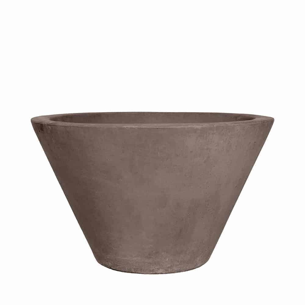 Strobile Planter (With Sago Palm)