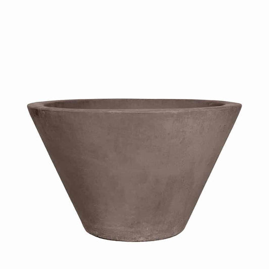 Strobile Planter (With Sago Palm)