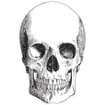 Load image into Gallery viewer, Placemat, Die Cut Skull
