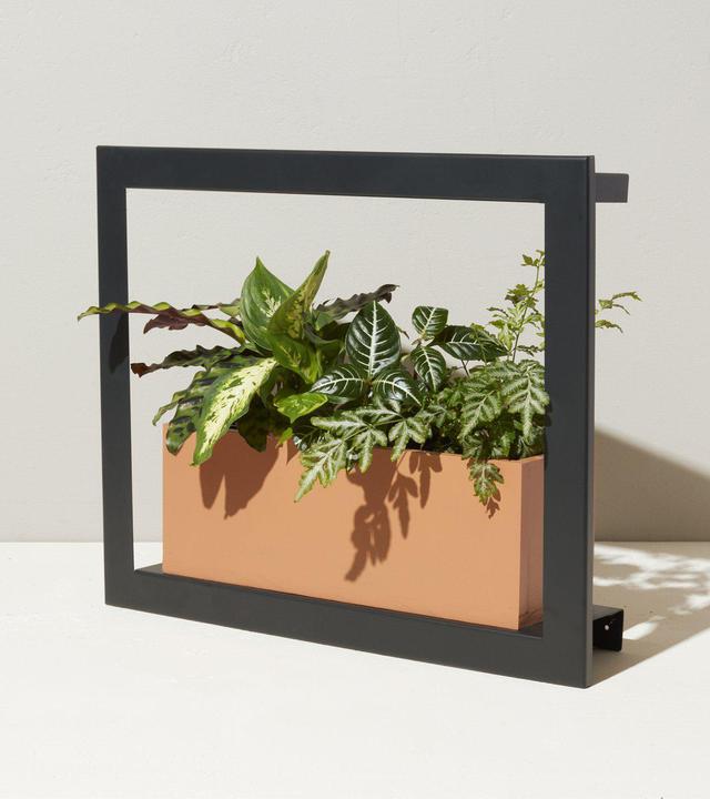 Growframe