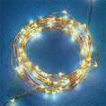 Load image into Gallery viewer, Napa Night Sky LED Wire String Lights
