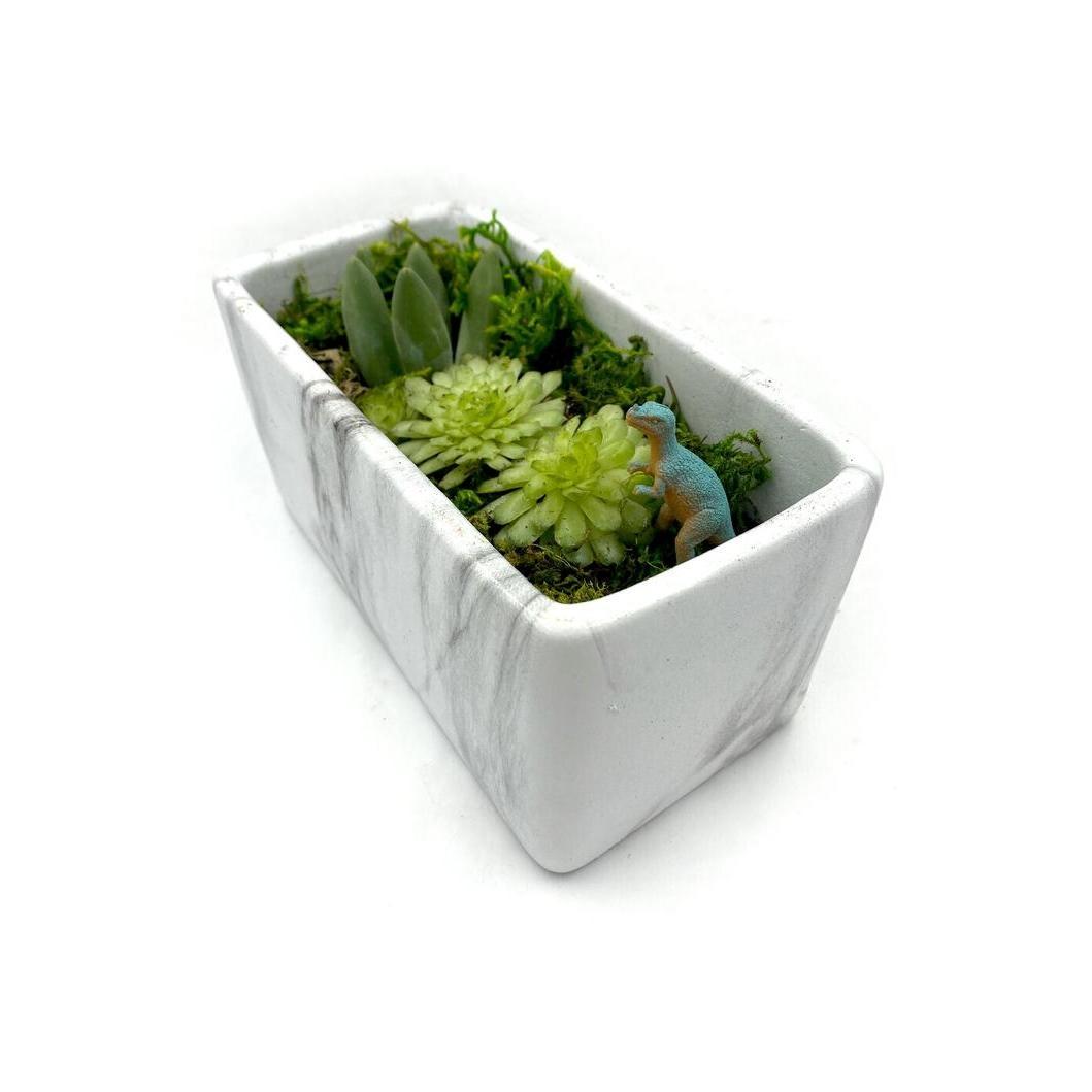 TERRARIUM MARBLE KIT