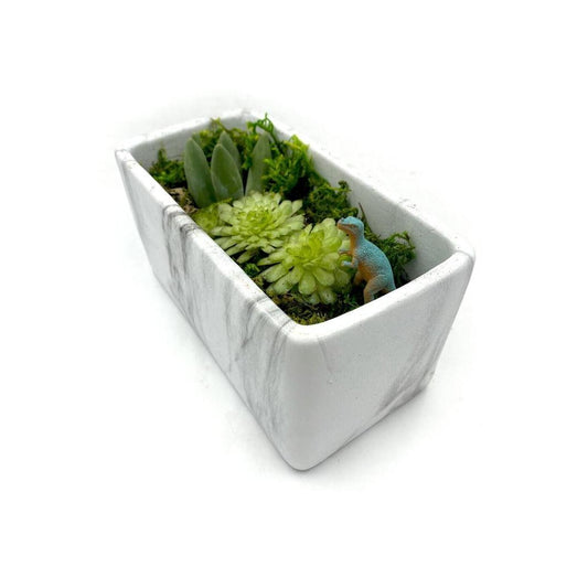 TERRARIUM MARBLE KIT