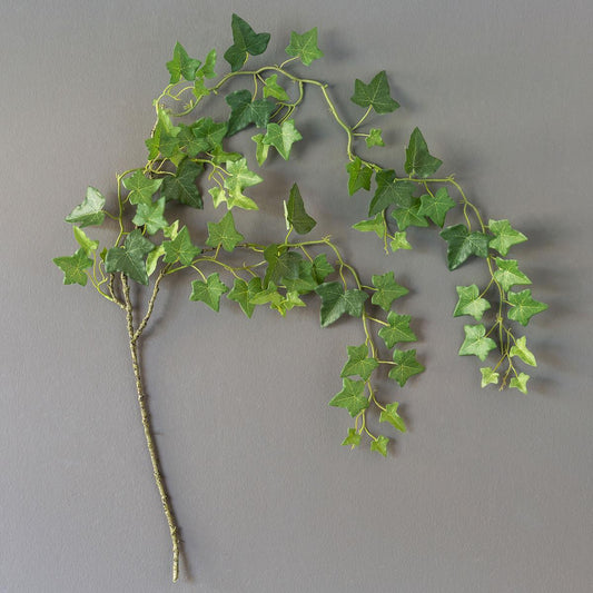 Faux Trailing Ivy Vine