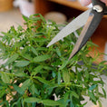 Load image into Gallery viewer, Forged Steel Pruners
