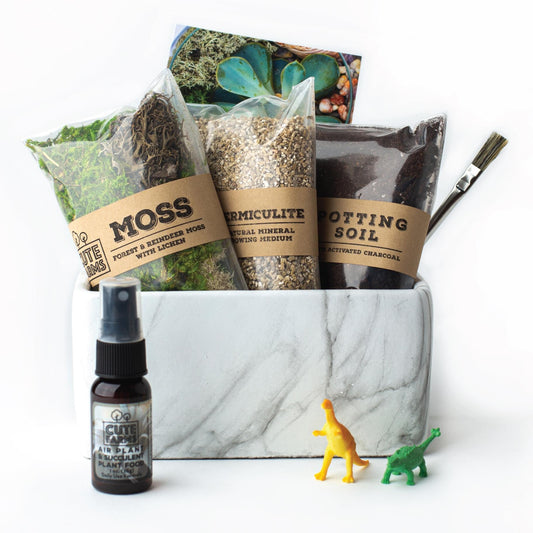 TERRARIUM MARBLE KIT
