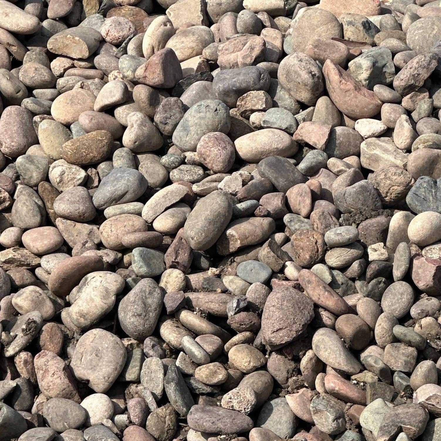 River Rock, Arizona Large