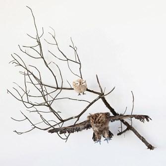 Faux Fur Owl, Beige