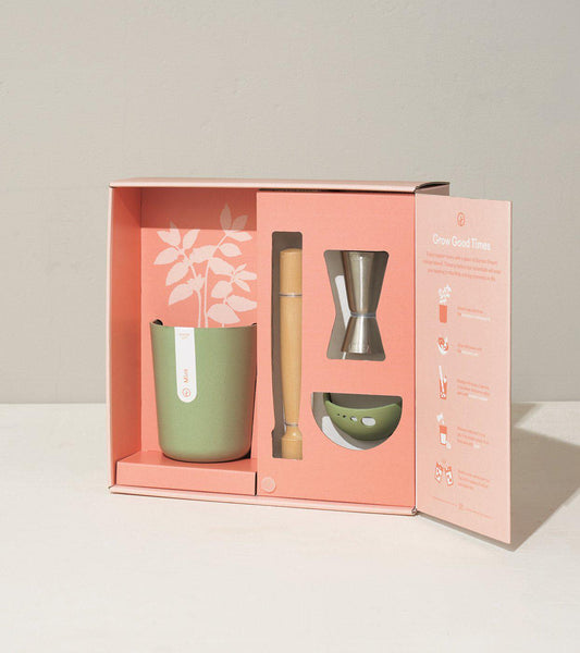 Celebrate-Gift Box Collection