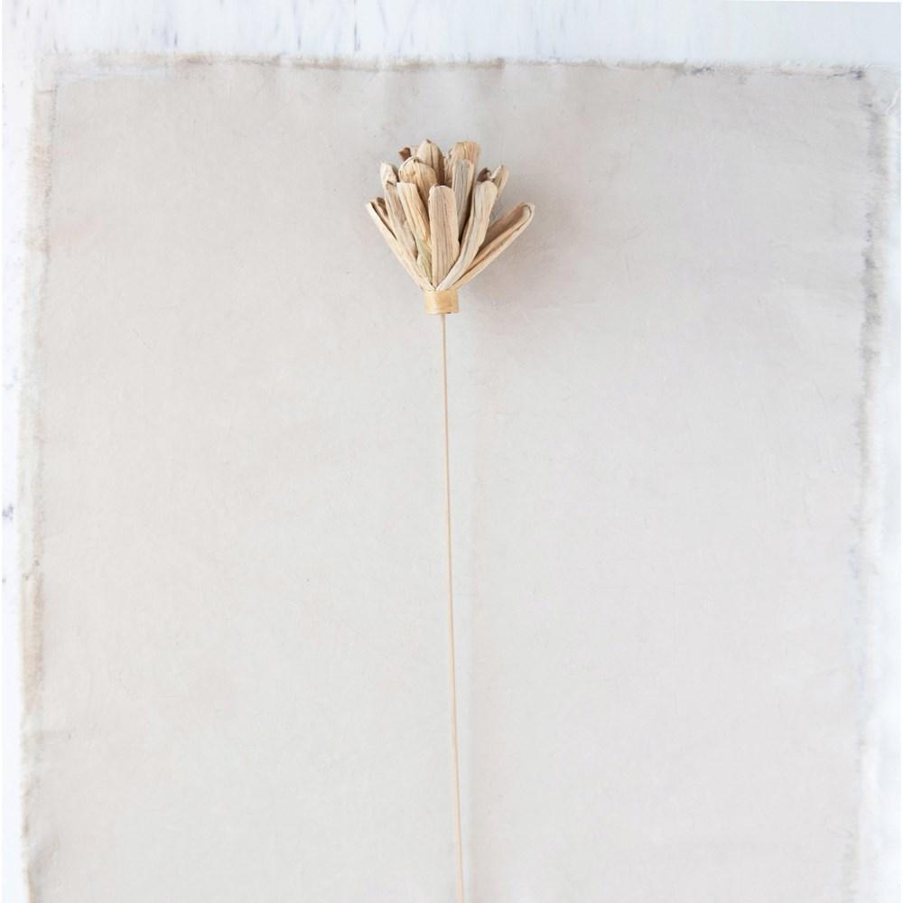 Dried Lily Lotus Flower Pick