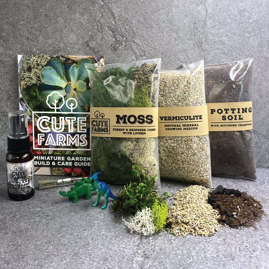 Terrarium Starter Kit