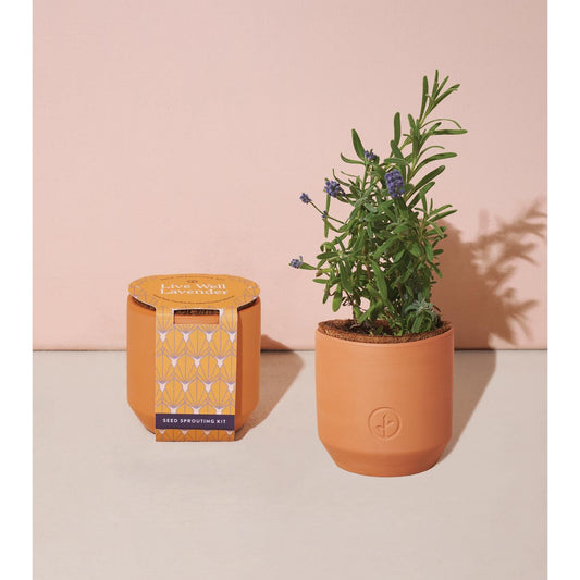 Tiny Terracotta Kit