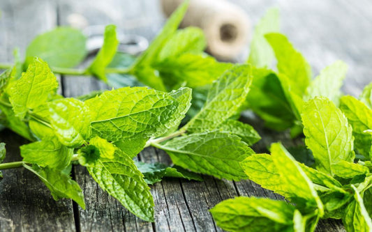 Mint, Variety
