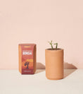 Load image into Gallery viewer, Terracotta Grow Kit
