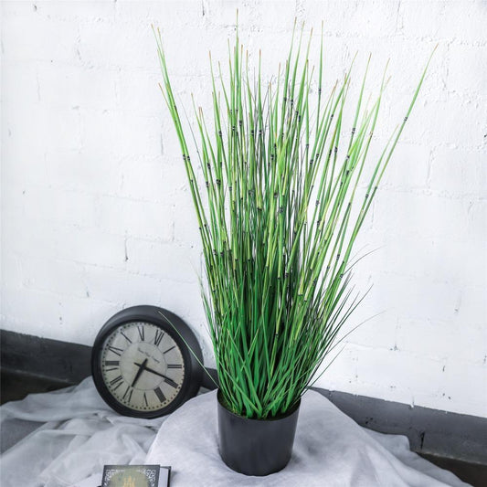 Grass, Horsetail Reed