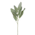 Load image into Gallery viewer, Faux Lambs Ear
