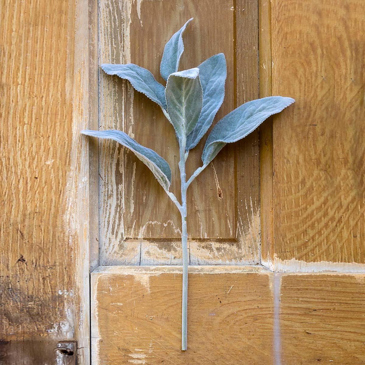 Faux Lambs Ear