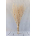 Load image into Gallery viewer, Dried Natural Jute Stick Bunch
