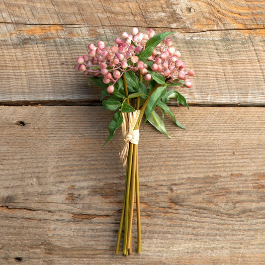 Blush Berry Bundle, Maroon