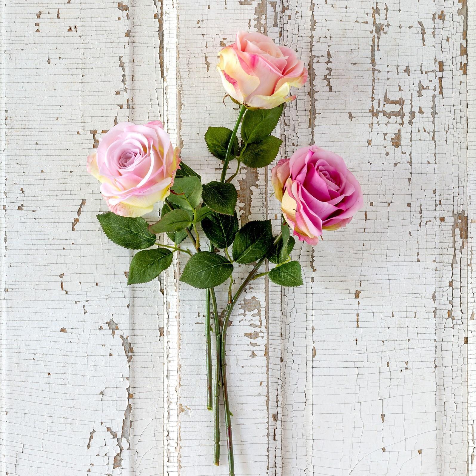 Crafted Garden Rose, Lavender