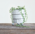 Load image into Gallery viewer, Footed Planter, Terracotta
