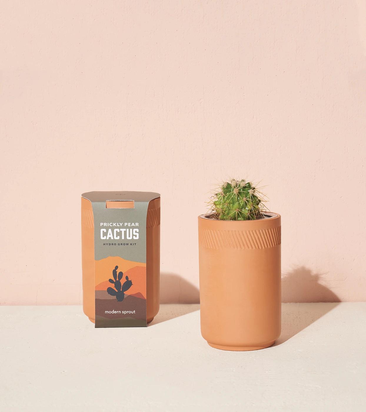 Terracotta Grow Kit