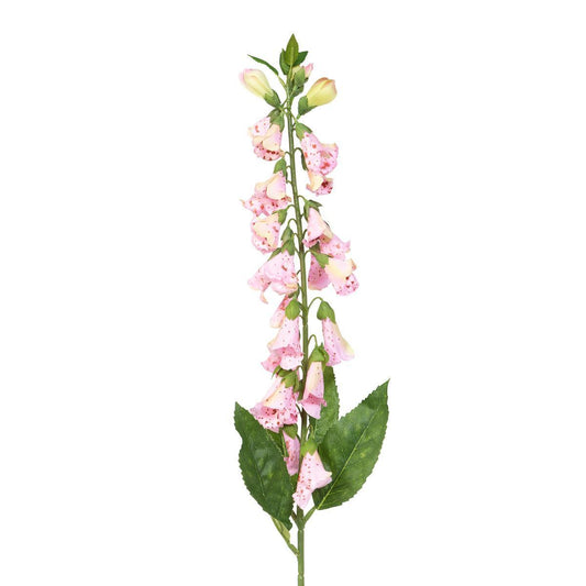 Faux English Foxglove