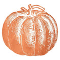 Load image into Gallery viewer, Placemat, Die Cut Pumpkin
