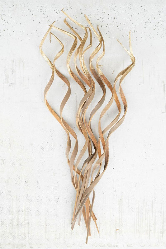 Bundle of Dried Coco Spirals - Gold Dipped