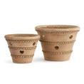 Load image into Gallery viewer, Wakefield, Oldham Orchid Pot
