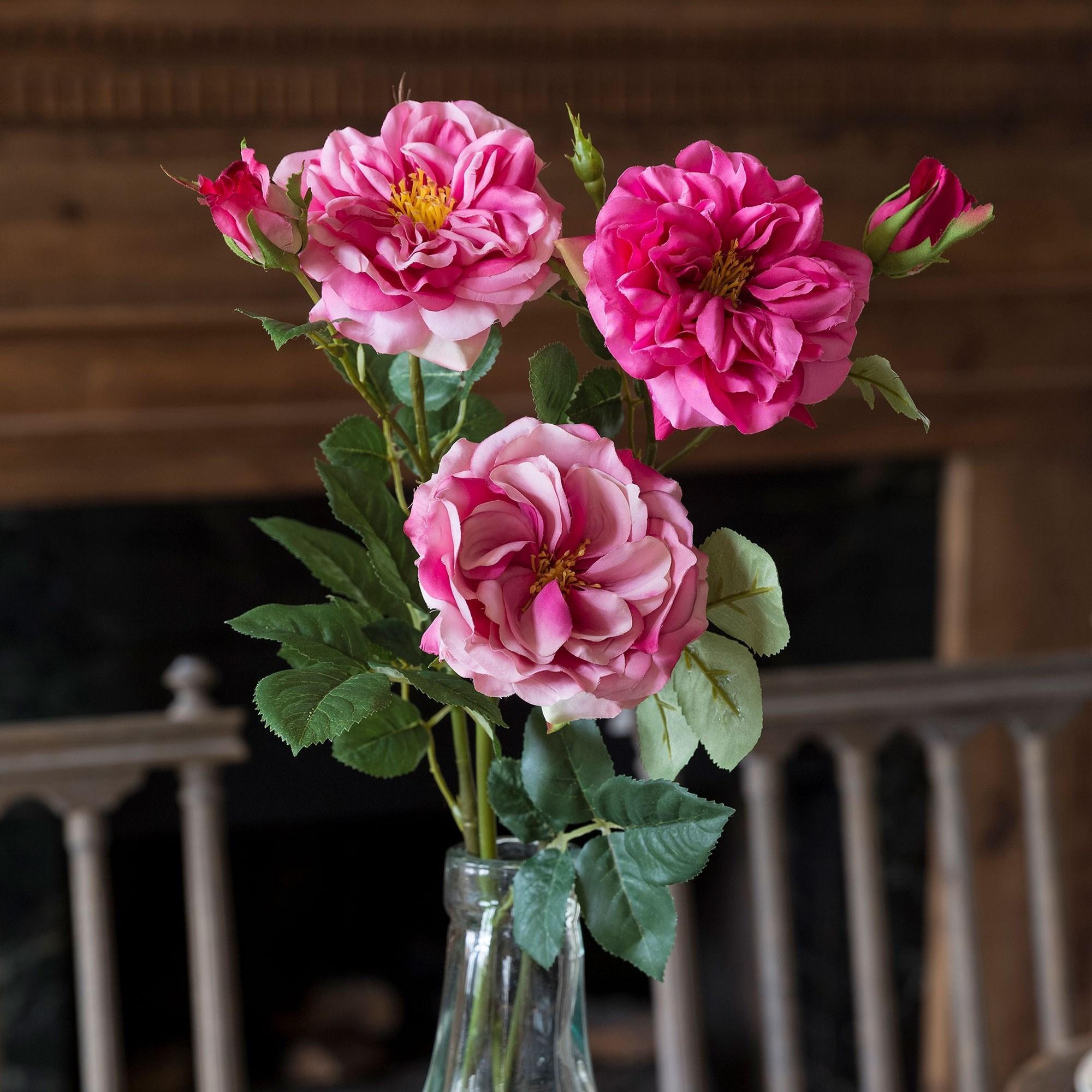 Gathered Beauty Garden Roses, 3 Assorted Styles