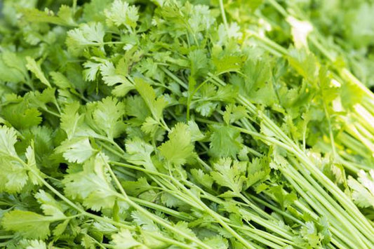 Herb, Parsley