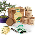 Load image into Gallery viewer, Growing Kit, Bonsai
